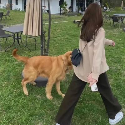 被挠